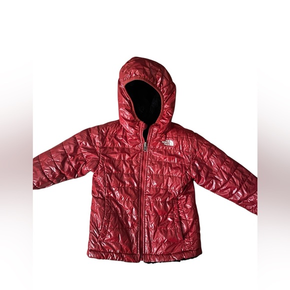 The North Face Other - The North Face ThermoBall Eco Hooded Jacket